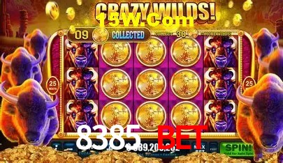 8385 Bet Salvador - Football